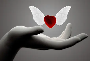 c4d44a02-6737-4883-bd41-d320a7e98773