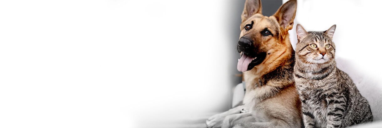 ec089cfb-5d45-4b62-a1a8-cc73a74f7bb1 ec089cfb-5d45-4b62-a1a8-cc73a74f7bb1