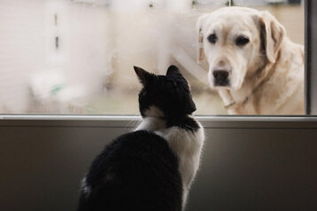 d74d89b8-105e-47d1-a396-faaafde7e970 d74d89b8-105e-47d1-a396-faaafde7e970