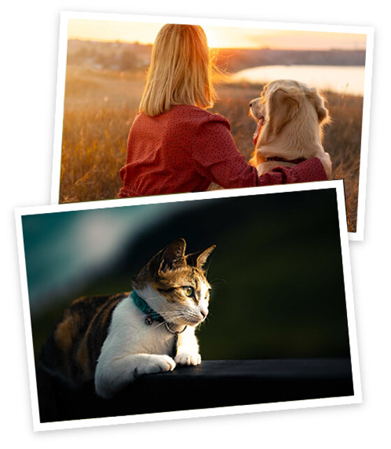 f9b60d47-6be1-459b-a647-883e740a75b4 f9b60d47-6be1-459b-a647-883e740a75b4