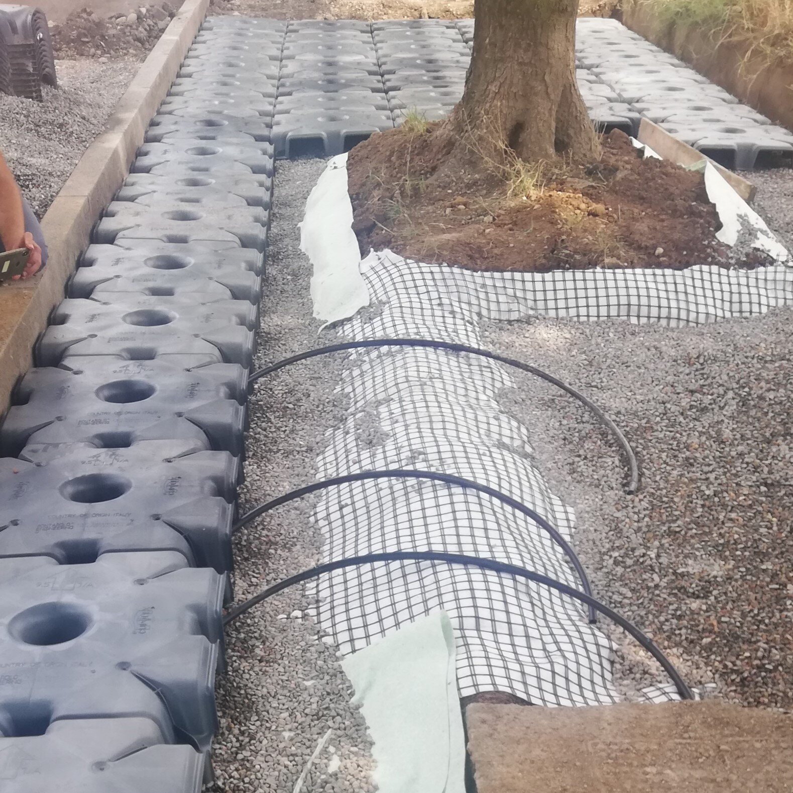 9d23cc99-70c9-4120-b322-32f7840c4f49.jpg 9d23cc99-70c9-4120-b322-32f7840c4f49.jpg