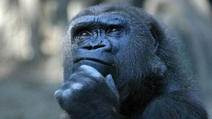 f9e73983-f893-4ea5-8825-3adf713d3d34 f9e73983-f893-4ea5-8825-3adf713d3d34