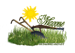 29f2c380-e572-4c32-abe6-19659a50c73a