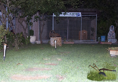 2dbdd8b7-dbc2-4659-a8f1-bc48206b4b40 2dbdd8b7-dbc2-4659-a8f1-bc48206b4b40