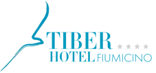 logo-tiber