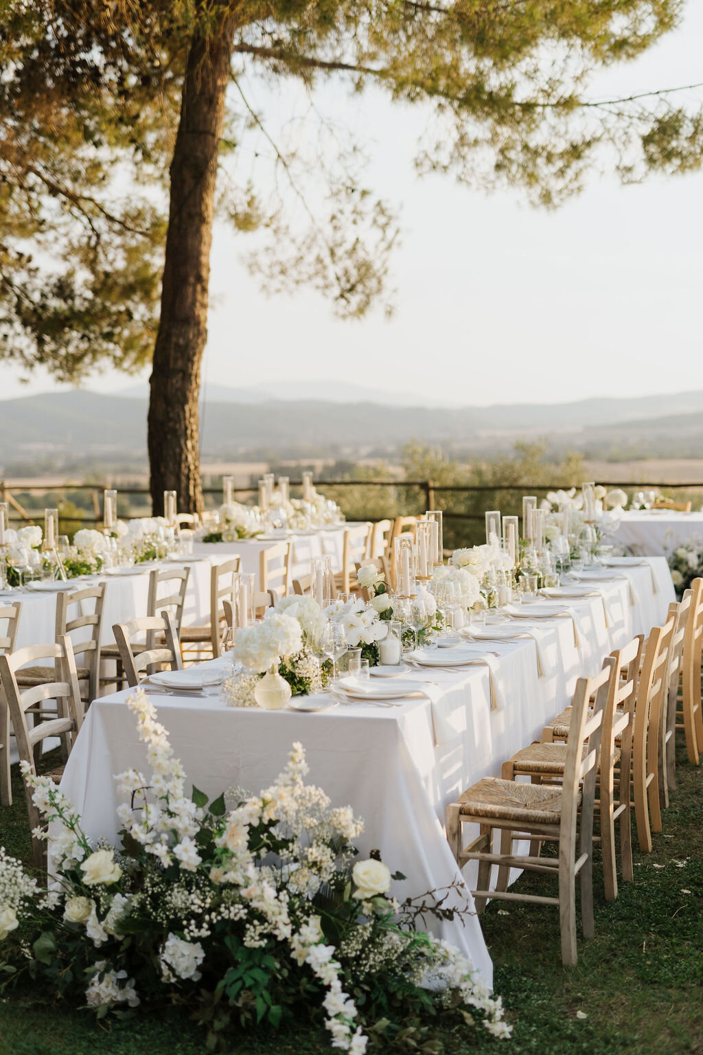 d7142cba-a6ad-451f-b583-4ac5862347a3.jpg d7142cba-a6ad-451f-b583-4ac5862347a3.jpg