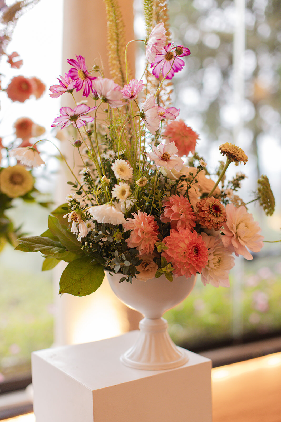 353888f1-4837-438b-bb0b-d7446969a33d.jpg 353888f1-4837-438b-bb0b-d7446969a33d.jpg