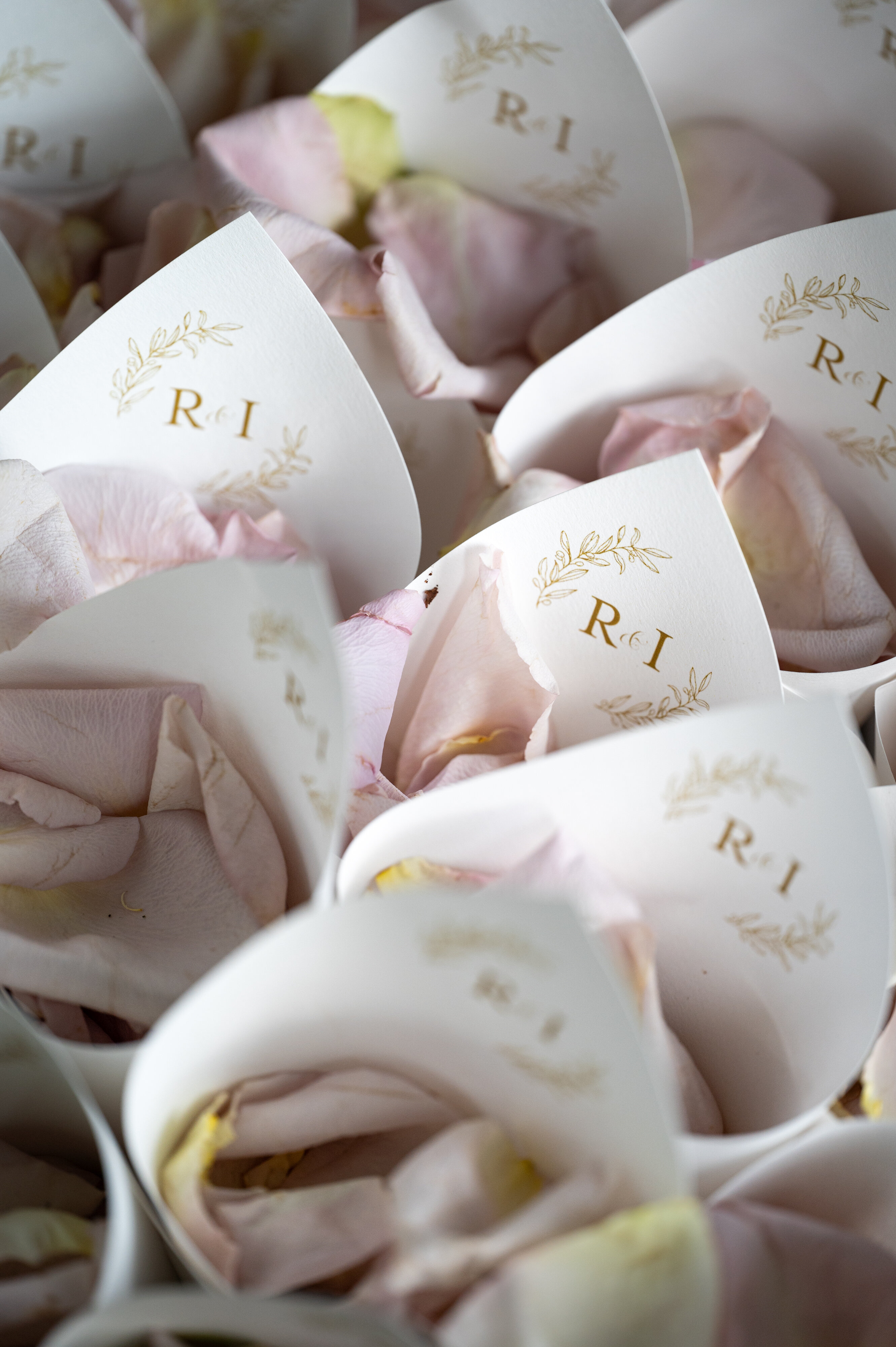 e6c5e1c5-25da-4e23-8407-e3211bc38fbd.jpg e6c5e1c5-25da-4e23-8407-e3211bc38fbd.jpg