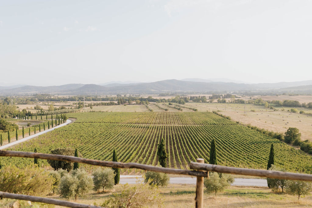 a3a5dca9-3322-402f-a31c-53843325014c.jpg a3a5dca9-3322-402f-a31c-53843325014c.jpg