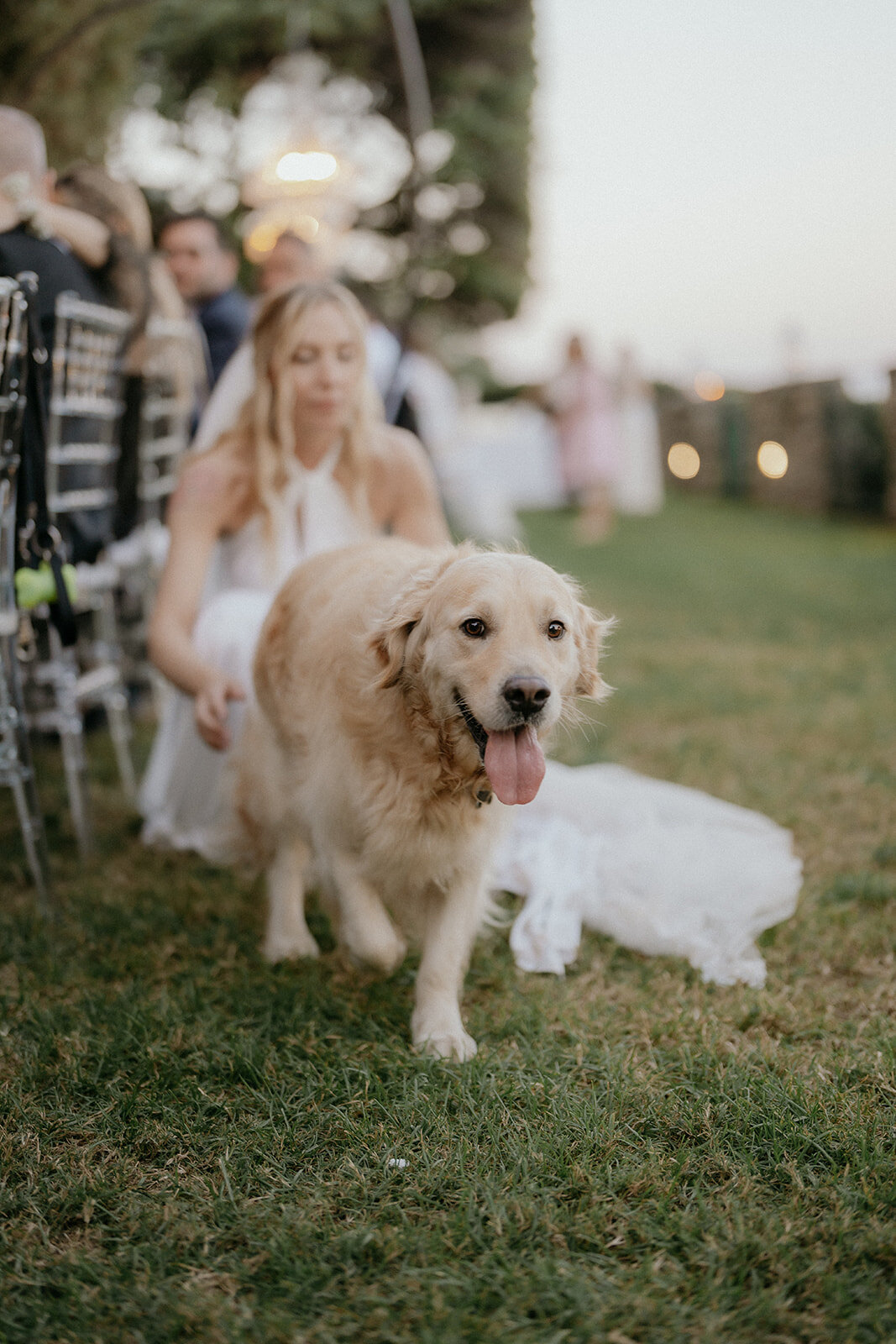 13046bb6-8951-4a36-b9fc-45bb44c519b4.jpg 13046bb6-8951-4a36-b9fc-45bb44c519b4.jpg