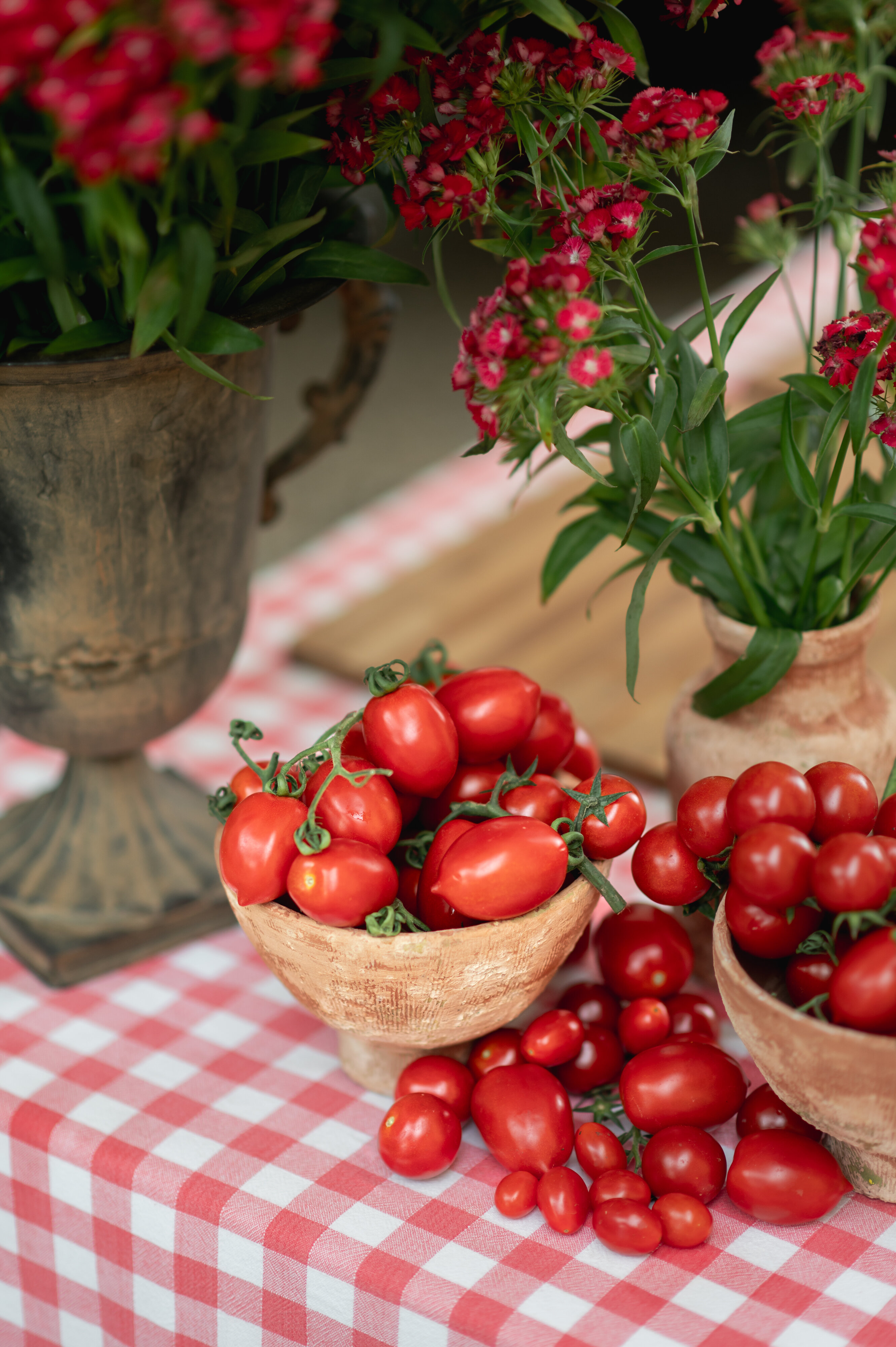 1ee895cf-ebb2-42a5-b154-484152bc98c7.jpg 1ee895cf-ebb2-42a5-b154-484152bc98c7.jpg