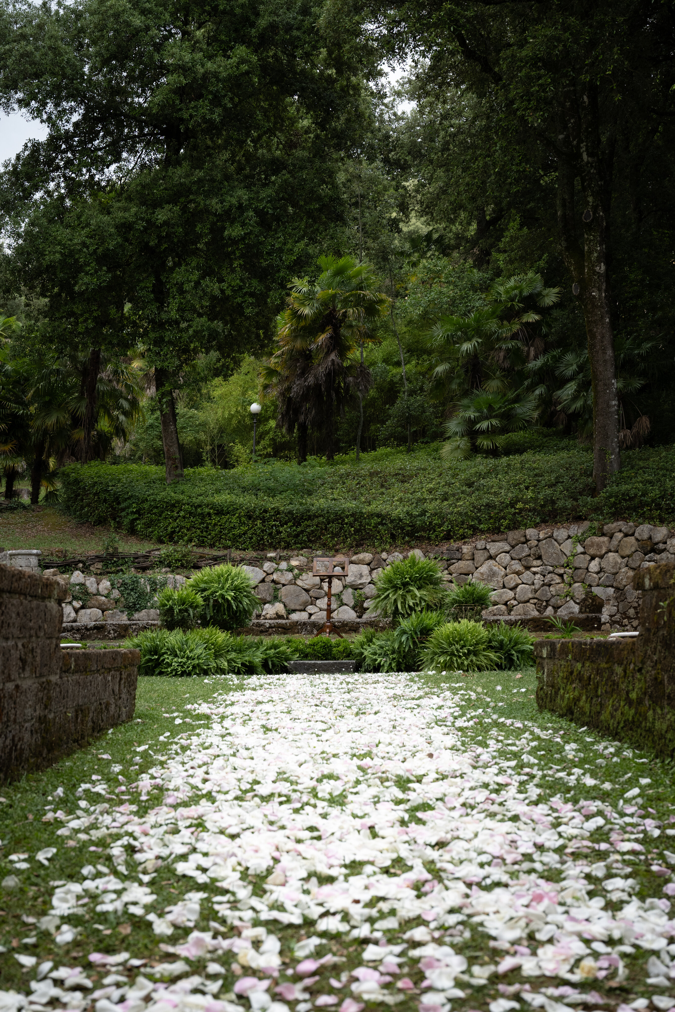 5228097b-a795-4c75-a820-d29e086860f5.jpg 5228097b-a795-4c75-a820-d29e086860f5.jpg