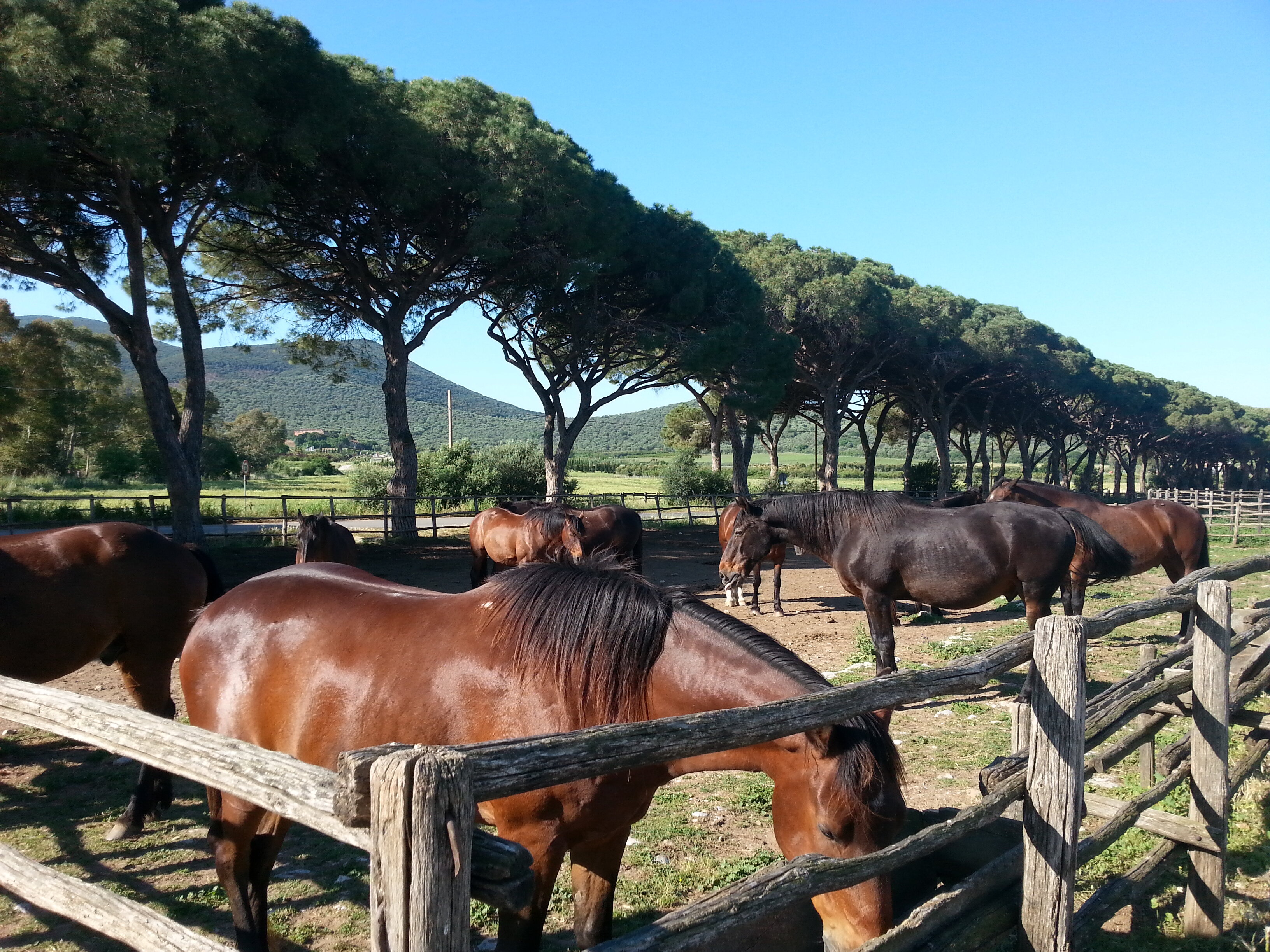 Una Maremma autentica tutta da scoprire