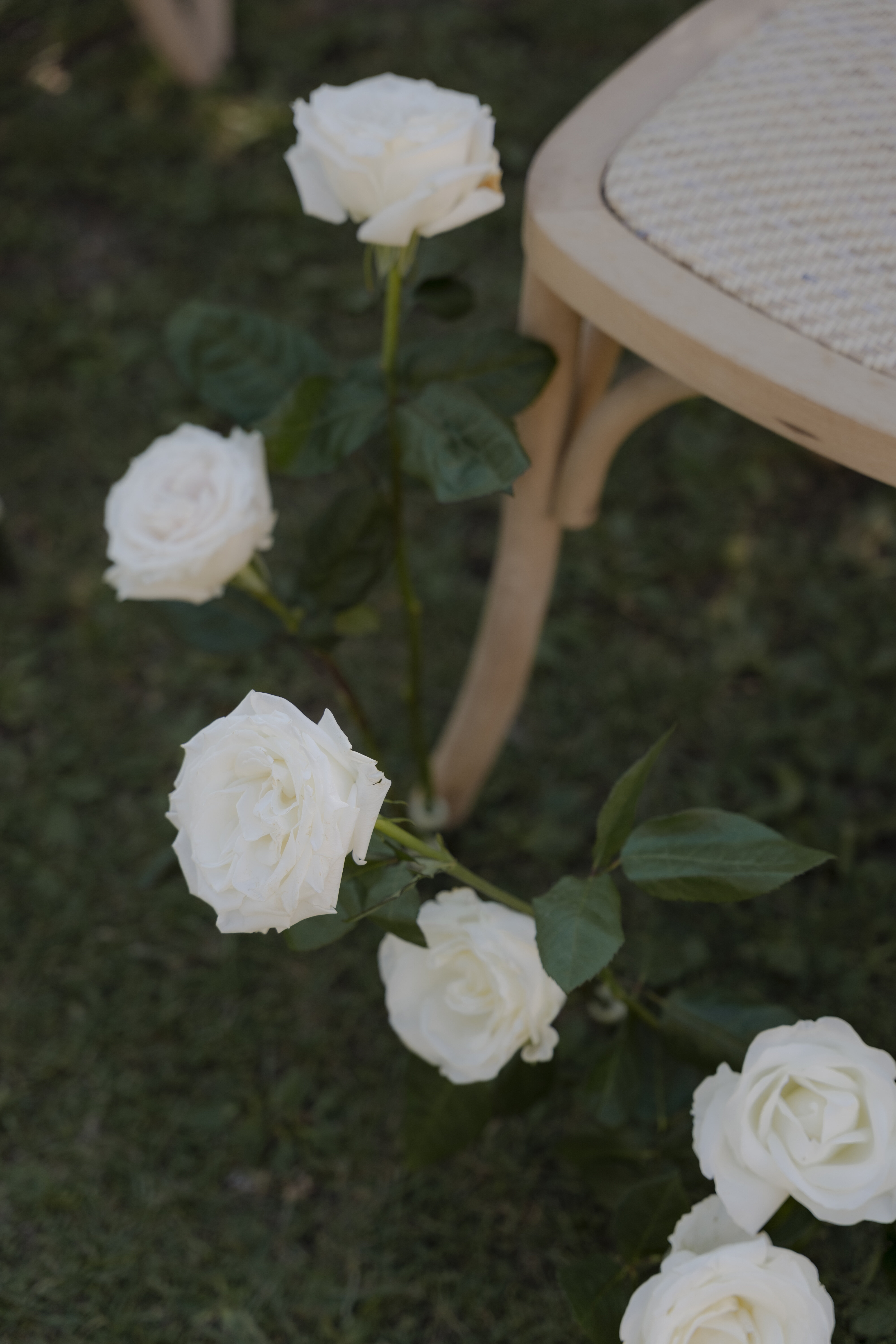 e2ac9940-6ff9-4da1-8e12-373f969977bc.jpg