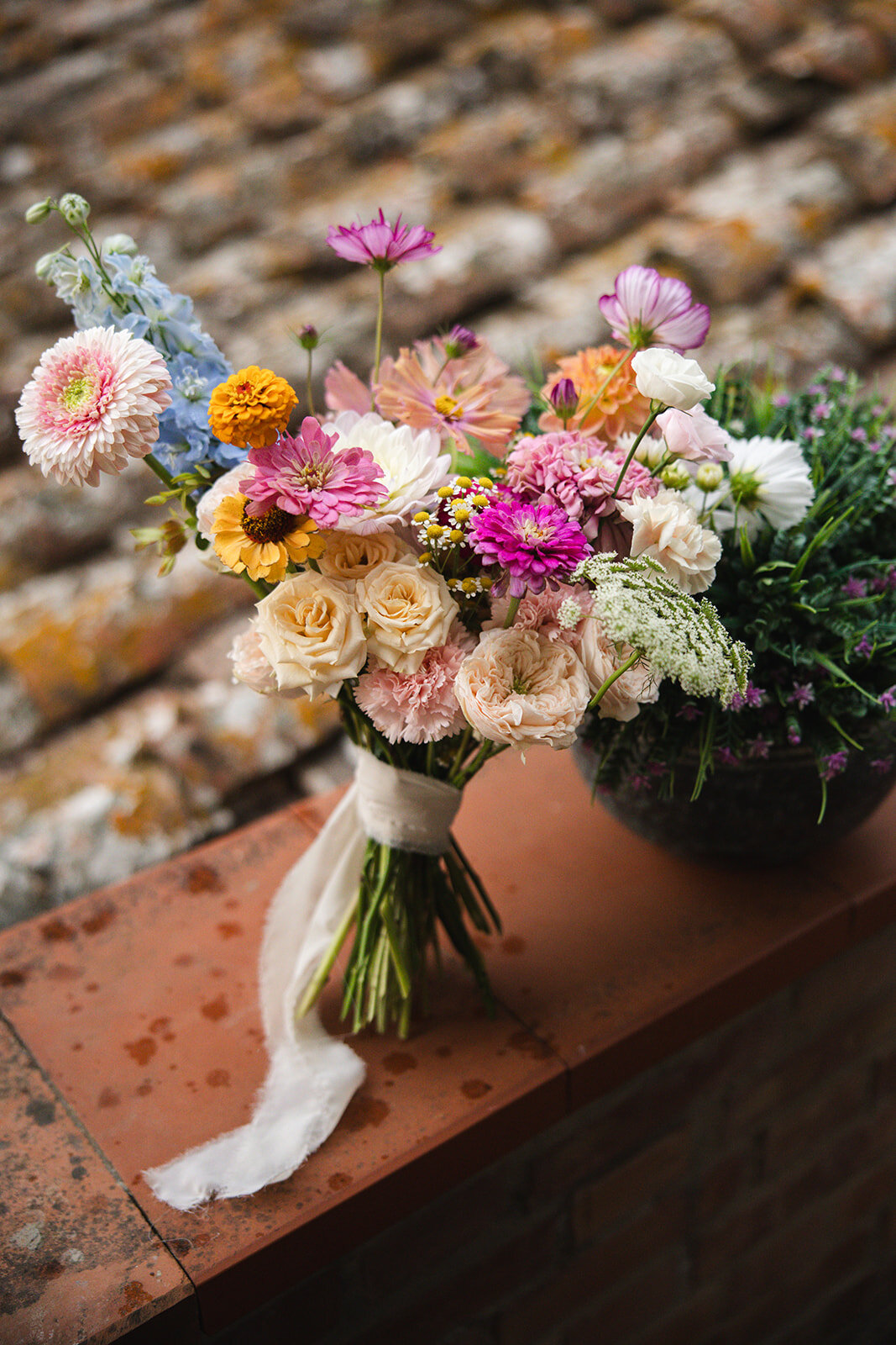 3487c7ee-d938-47d6-bf9d-e610aa74adf4.jpg 3487c7ee-d938-47d6-bf9d-e610aa74adf4.jpg