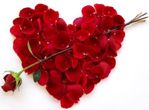Rose rosse per te - Red roses