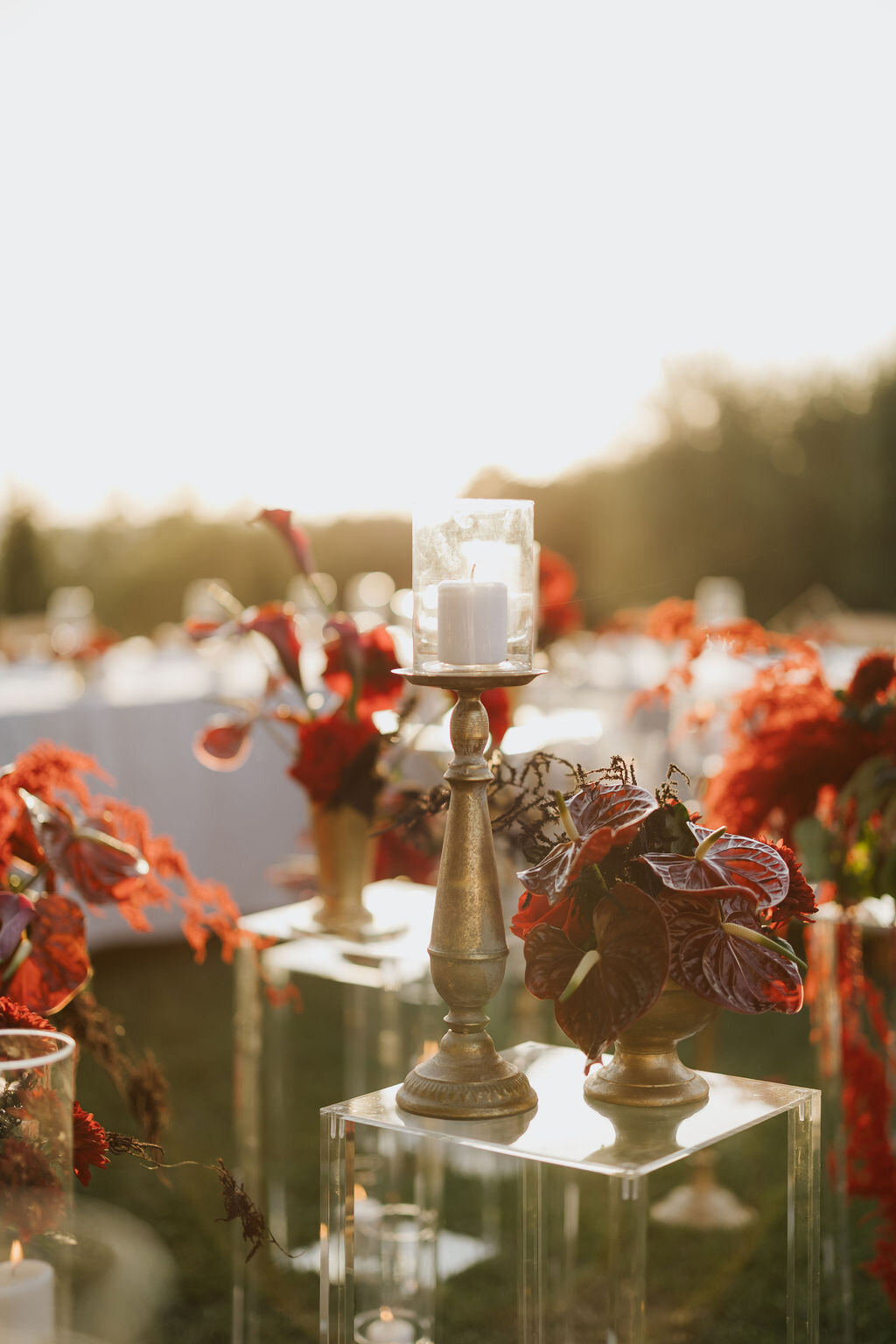 8dba2144-79c3-476d-810b-08f6159e5da4.jpg 8dba2144-79c3-476d-810b-08f6159e5da4.jpg