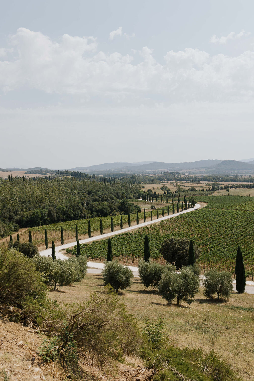 9dcf743f-b6ff-4a38-b280-534083e1267c.jpg 9dcf743f-b6ff-4a38-b280-534083e1267c.jpg