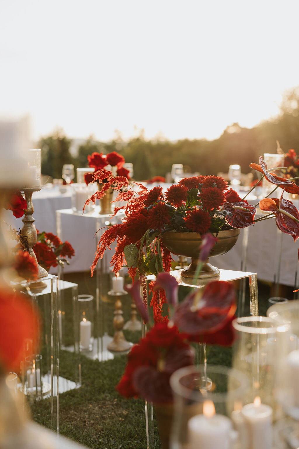 99636a5e-35c2-4352-a659-9ad9c2462060.jpg 99636a5e-35c2-4352-a659-9ad9c2462060.jpg