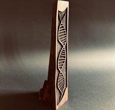 img_0173.jpeg