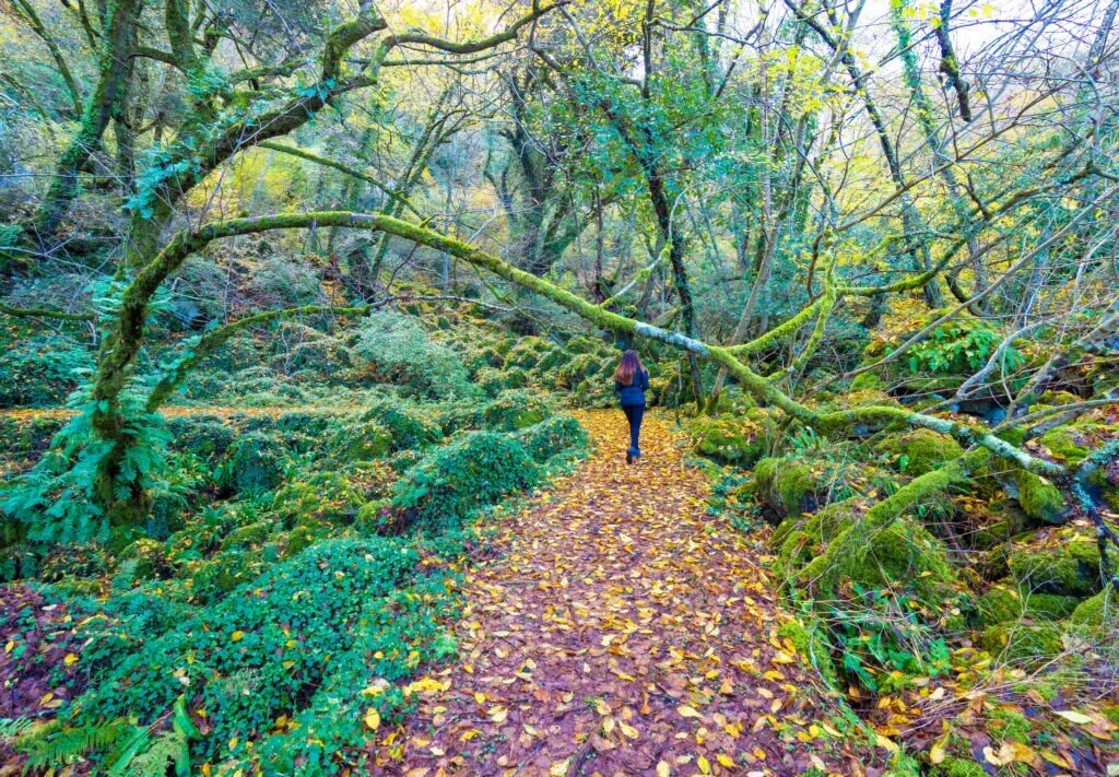 23/02/2025 Riserva Naturale di Monte Rufeno