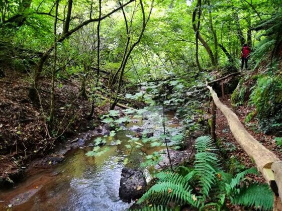 c6d2633e-7965-4c87-b0a2-ce9924d2a2eb