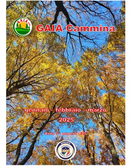 f0703ba1-881a-4508-9a06-cd998c6daab7