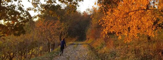 5431fc84-f483-4758-a333-b7f3a3fefd4c