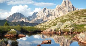 8222b4cc-5c3d-4294-8b05-3754d7814f42