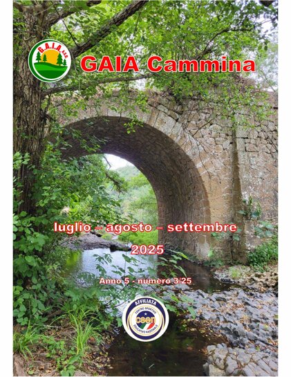 35e787bf-c91c-44ad-8ae8-4c656a521dd0