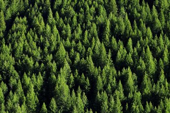 c993364e-1c9e-4f82-9fd7-98853d282cc0