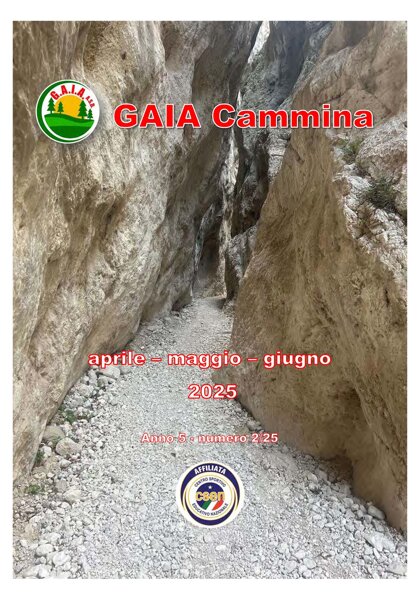 432229d7-2be5-4c25-81c6-72c93c06fe7f 432229d7-2be5-4c25-81c6-72c93c06fe7f