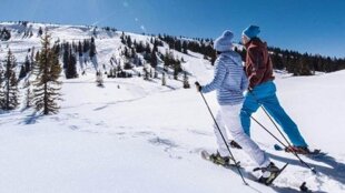 6cb89422-5b81-4741-979d-4fd4b2e603bf