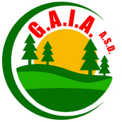 8222b4cc-5c3d-4294-8b05-3754d7814f42