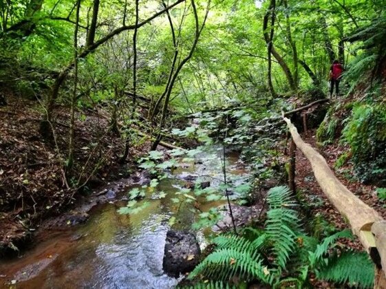 db41d9d5-d6bf-423c-b51e-078588cf189a