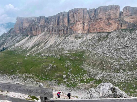 11c498ed-d2e2-4db5-97a6-619467cf784d 11c498ed-d2e2-4db5-97a6-619467cf784d