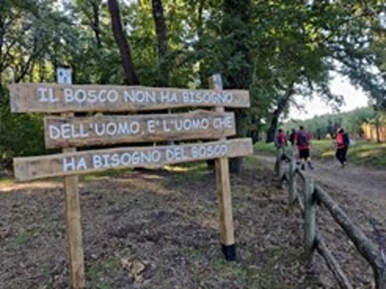 cf144812-fe74-4336-a665-6a2159494af0