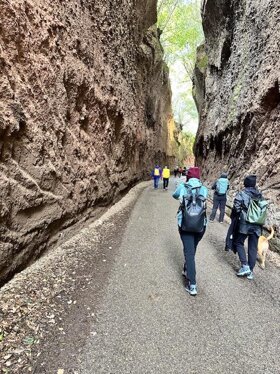 314cd32c-2c6a-42c8-a1f8-7d4e3dbaba01