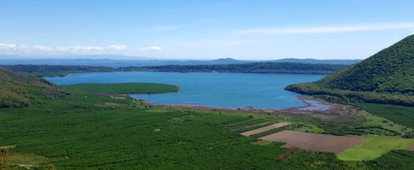 d0da108a-114b-4fe8-a491-dbb87f4eca79 d0da108a-114b-4fe8-a491-dbb87f4eca79