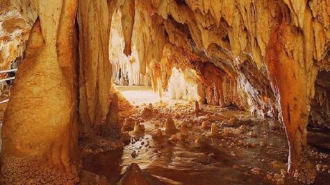 5518306a-c3b8-41cc-9573-782a3d08c99a