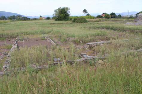 8163a442-9429-4c9e-b0e8-12d0ed19f9e3 8163a442-9429-4c9e-b0e8-12d0ed19f9e3