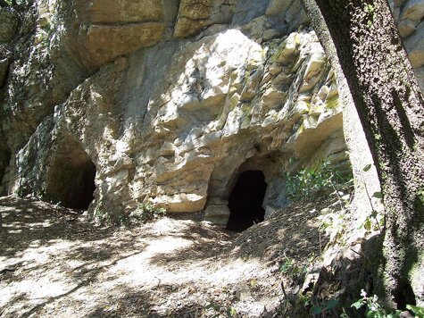 99411bfd-20d7-4fd2-aca5-f218c54938ad 99411bfd-20d7-4fd2-aca5-f218c54938ad