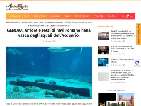 52701009-11f2-413d-8804-b738a4bf2c05.jpeg 52701009-11f2-413d-8804-b738a4bf2c05.jpeg