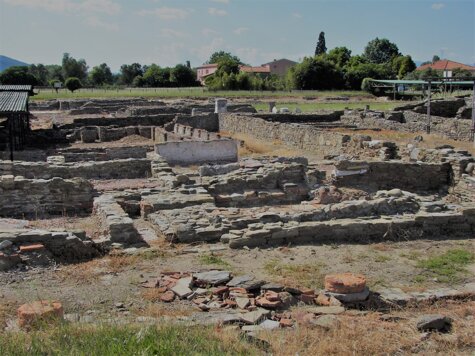 06150b6d-93a4-42da-9004-f342d70079fb