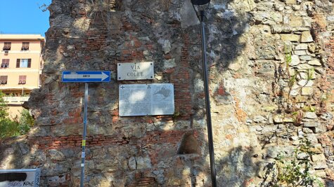 1577211b-eee4-434c-89f4-c63f5fa7c5e4 1577211b-eee4-434c-89f4-c63f5fa7c5e4