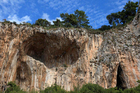 d50dc729-2be1-40b1-bb91-f623568327f5