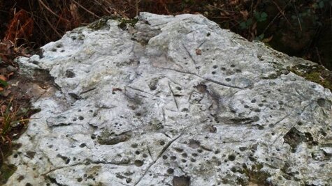 a8e500c4-930b-489f-a02a-2434ae4b7b7b a8e500c4-930b-489f-a02a-2434ae4b7b7b