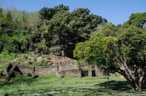 d9af9642-db7d-419d-bed2-6572db3b2510