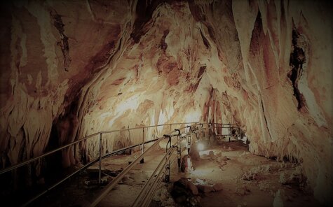 506a91ca-62cd-4e62-be89-9461818486be