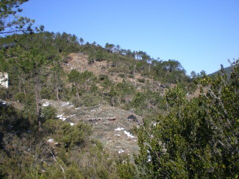 9cee6bdc-3920-4d3f-8b20-63c810e08d38